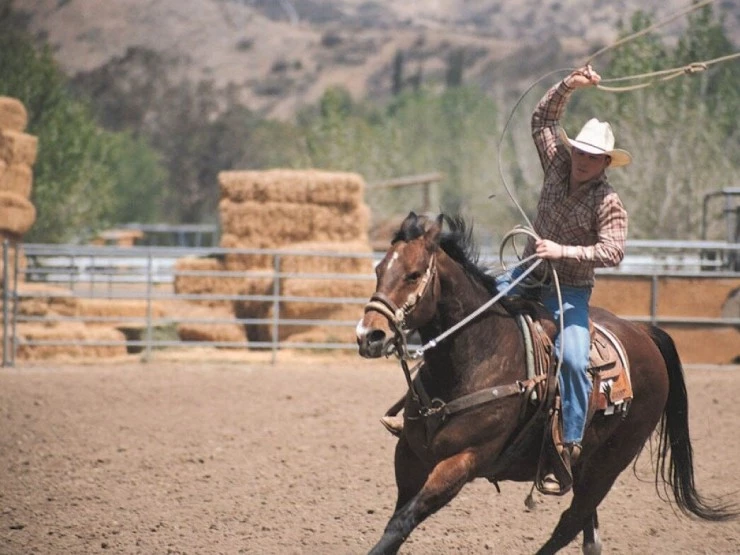 Даллас 362 (2002) в хорошем качестве смотреть онлайн Даллас 362 (2002) фильм в хорошем качестве смотреть онлайн